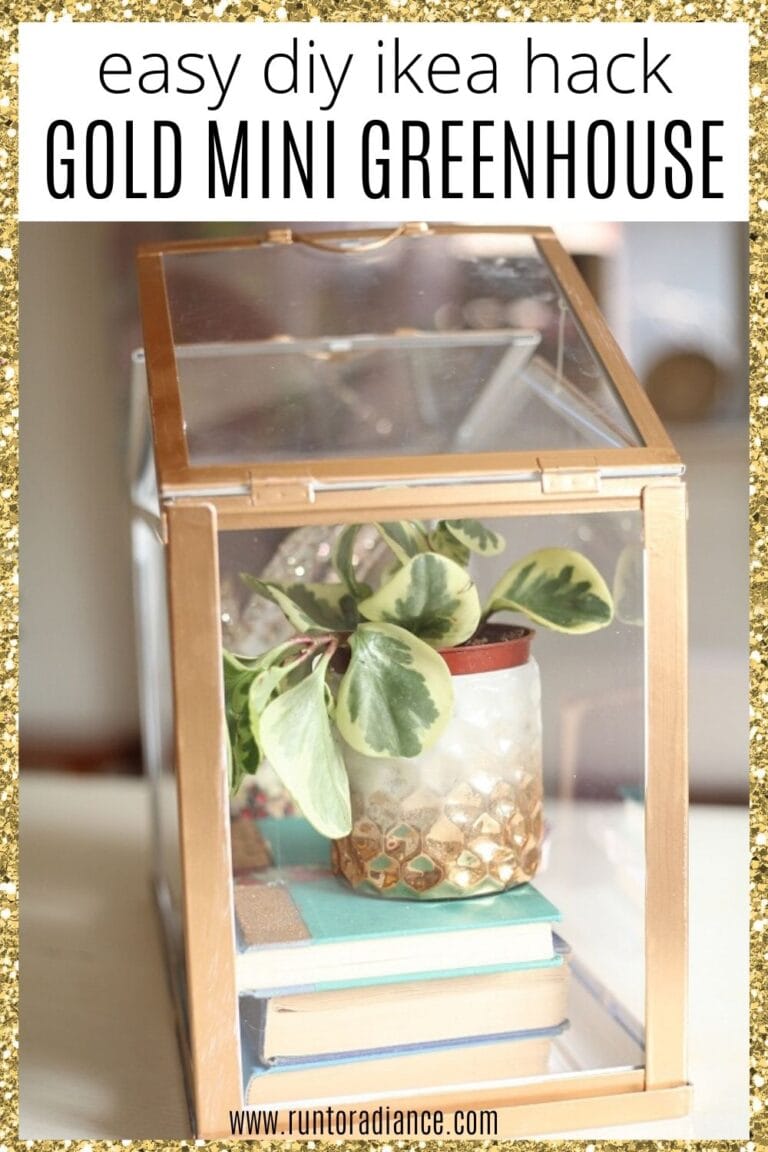 DIY Gold Mini Greenhouse Ikea Hack Run To Radiance   Mini Greennhouse 768x1152 