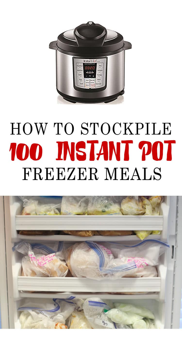 A Full Month of Easy Instant Pot Freezer Dump Meals